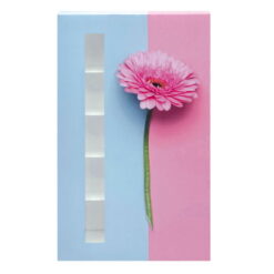 Faltschachtel für 15 Pralinen mit Schuber/Sichtfenster - verschiedene Blumenmotive – Bild 3