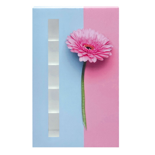 Faltschachtel für 15 Pralinen mit Schuber/Sichtfenster - verschiedene Blumenmotive – Bild 3